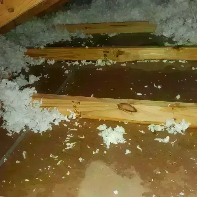 Attic Water Damage in Harrison, ME