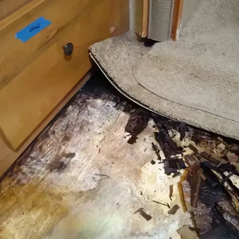 Wood Floor Water Damage in Harrison, ME